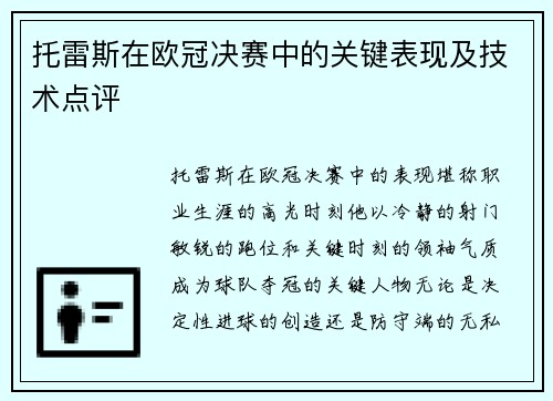 托雷斯在欧冠决赛中的关键表现及技术点评