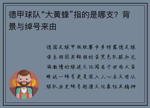 德甲球队“大黄蜂”指的是哪支？背景与绰号来由