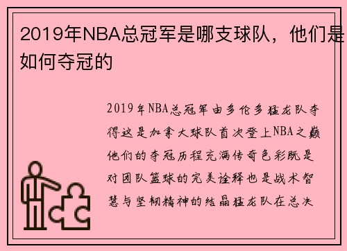 2019年NBA总冠军是哪支球队，他们是如何夺冠的